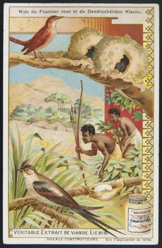 Liebig carte réclame chromo 1904 1996.40.286.6  Photo