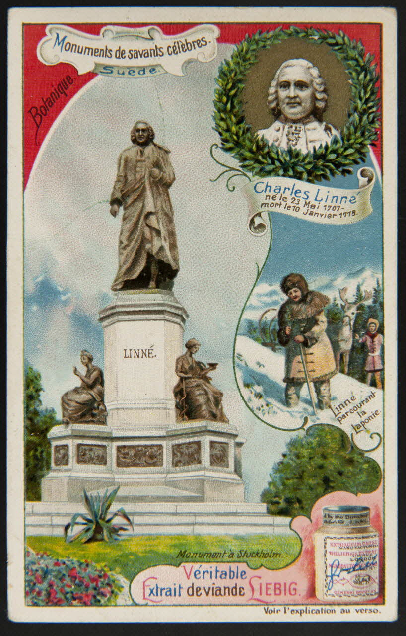 Liebig carte réclame chromo 1903 1996.40.287.2 Photo