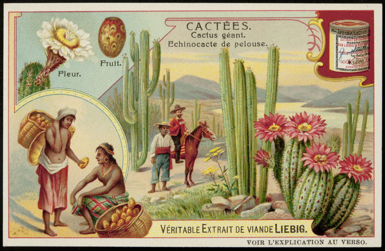 Liebig carte réclame chromo 1907 1996.40.290.2 Photo