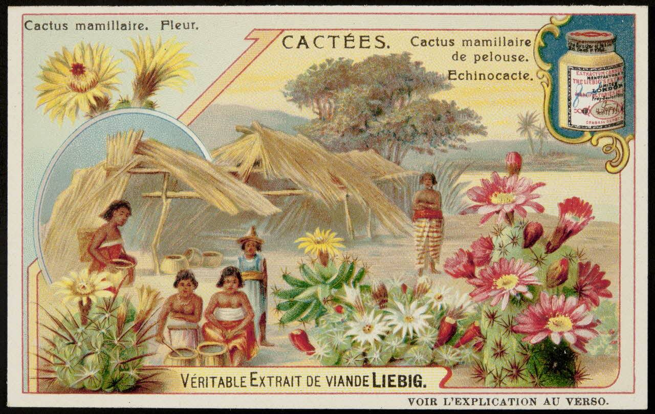 Liebig carte réclame chromo 1907 1996.40.290.4 Photo