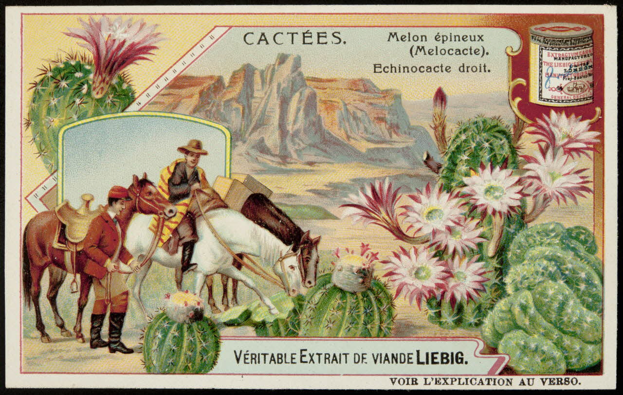Liebig carte réclame chromo 1907 1996.40.290.6  Photo