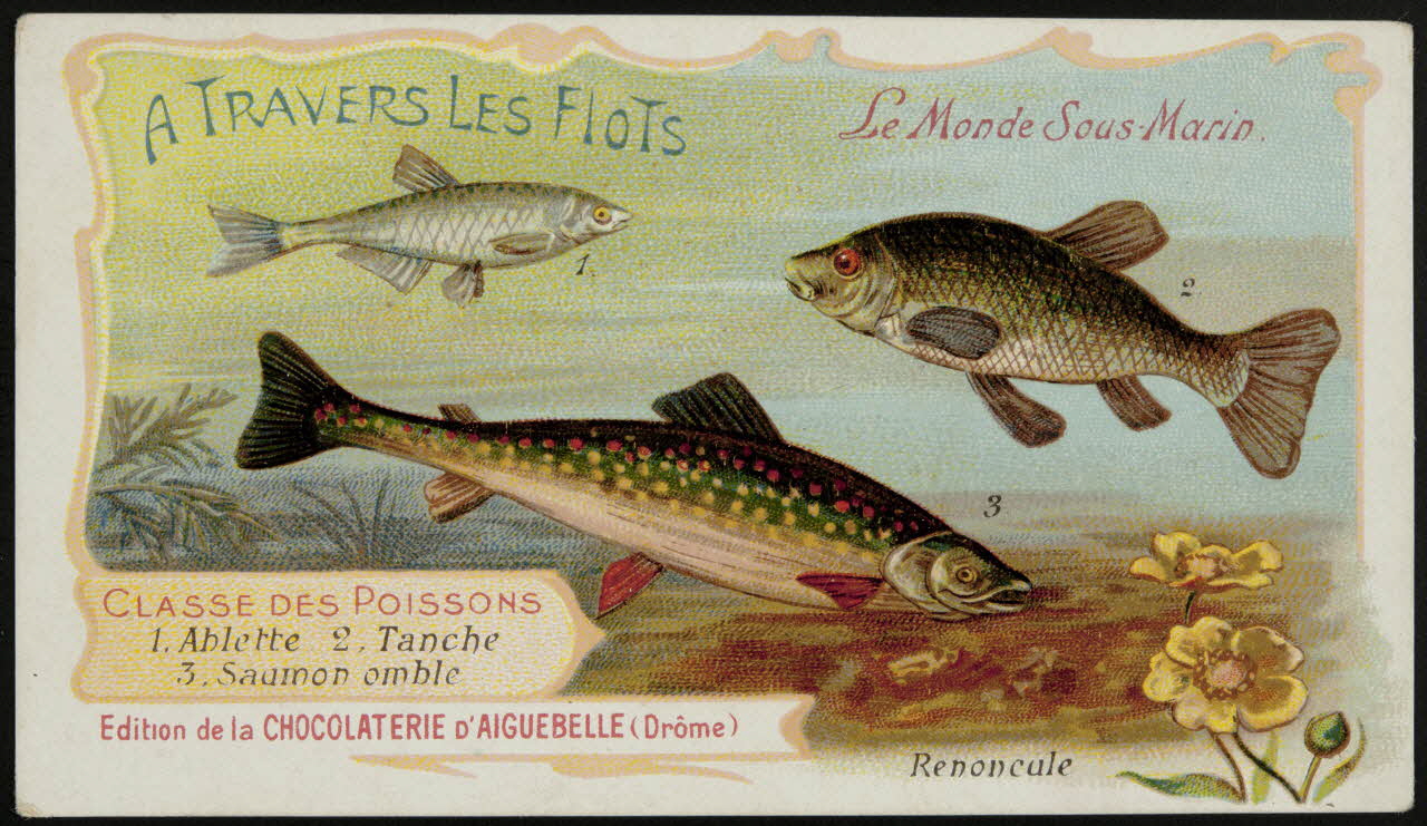 Edition de la Chocolaterie d'Aiguebelle carte réclame chromo Rhône-Alpes, France 1900-1920 1996.40.293.1 Photo