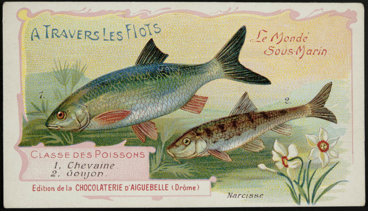 Edition de la Chocolaterie d'Aiguebelle carte réclame chromo Rhône-Alpes, France 1900-1920 1996.40.293.10 Photo