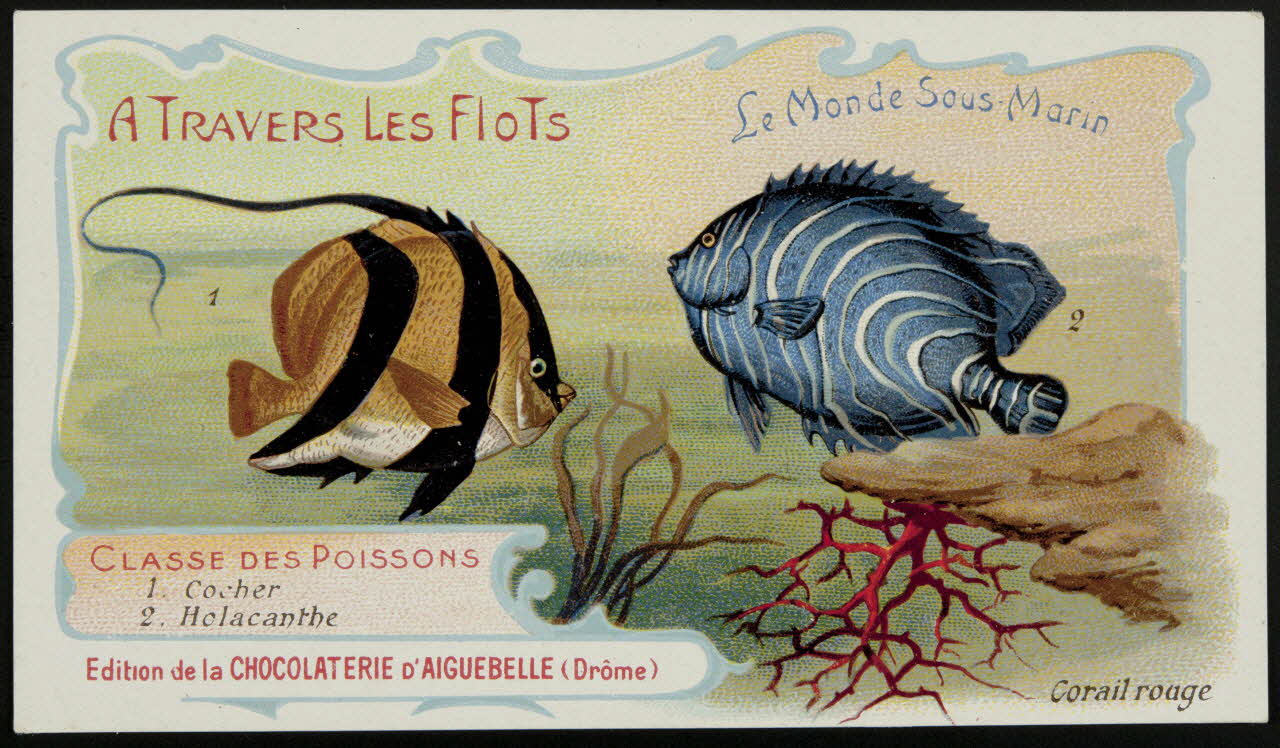Edition de la Chocolaterie d'Aiguebelle carte réclame chromo Rhône-Alpes, France 1900-1920 1996.40.293.11 Photo