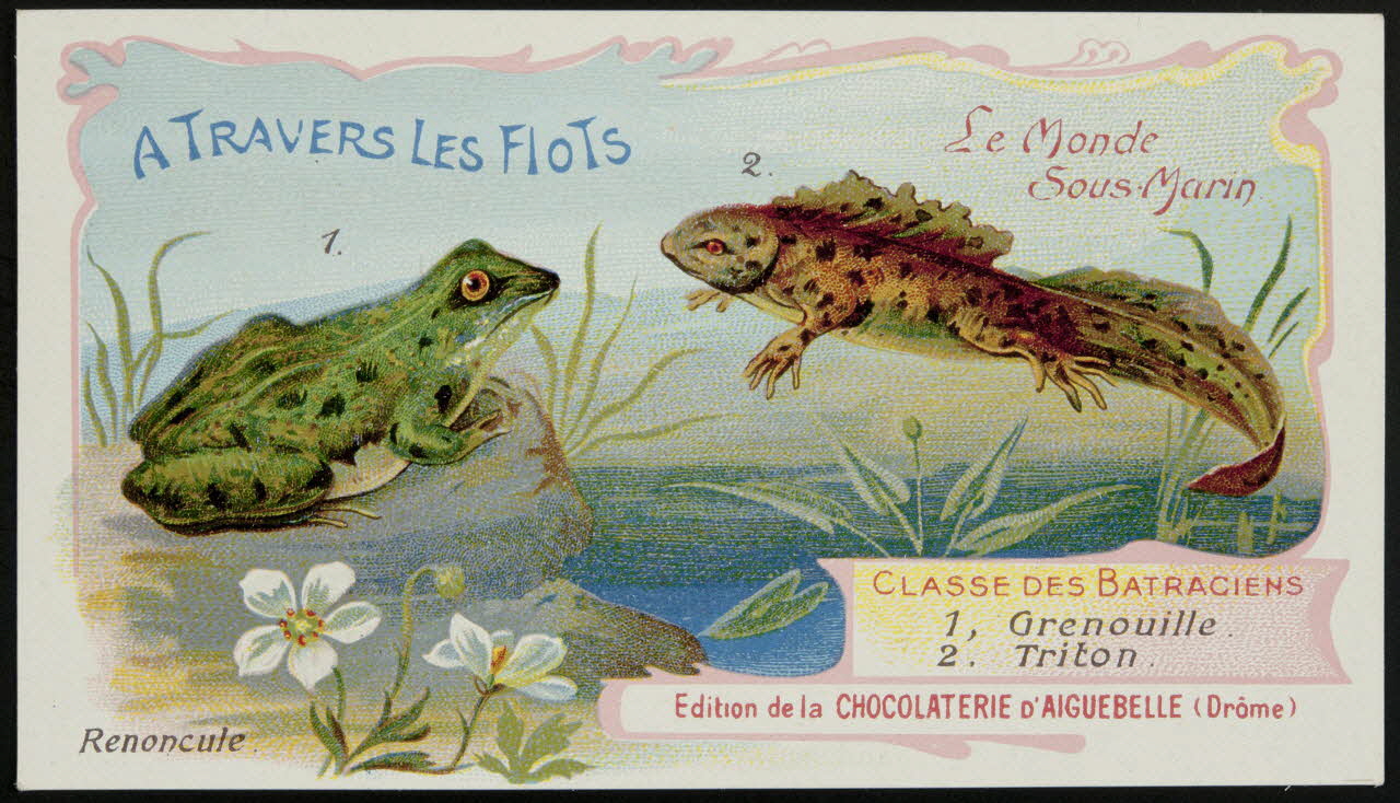 Edition de la Chocolaterie d'Aiguebelle carte réclame chromo Donzère 1900-1920 1996.40.293.24 Photo