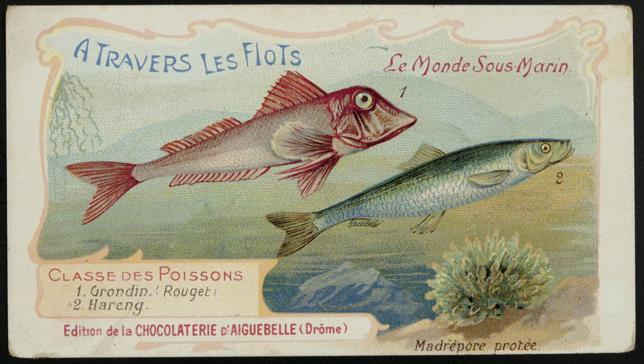 Edition de la Chocolaterie d'Aiguebelle carte réclame chromo Donzère 1900-1920 1996.40.293.25 Photo