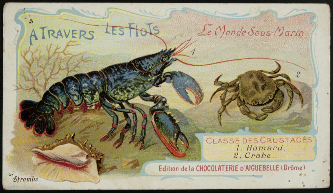 Edition de la Chocolaterie d'Aiguebelle carte réclame chromo Donzère 1900-1920 1996.40.293.27 Photo