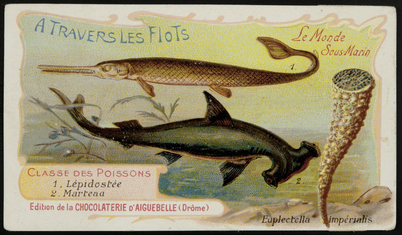 Edition de la Chocolaterie d'Aiguebelle carte réclame chromo Donzère 1900-1920 1996.40.293.28 Photo