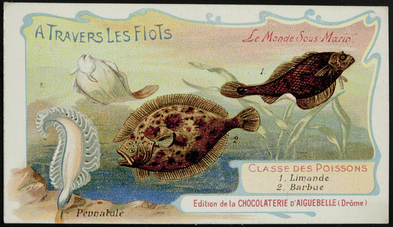 Edition de la Chocolaterie d'Aiguebelle carte réclame chromo Donzère 1900-1920 1996.40.293.29 Photo