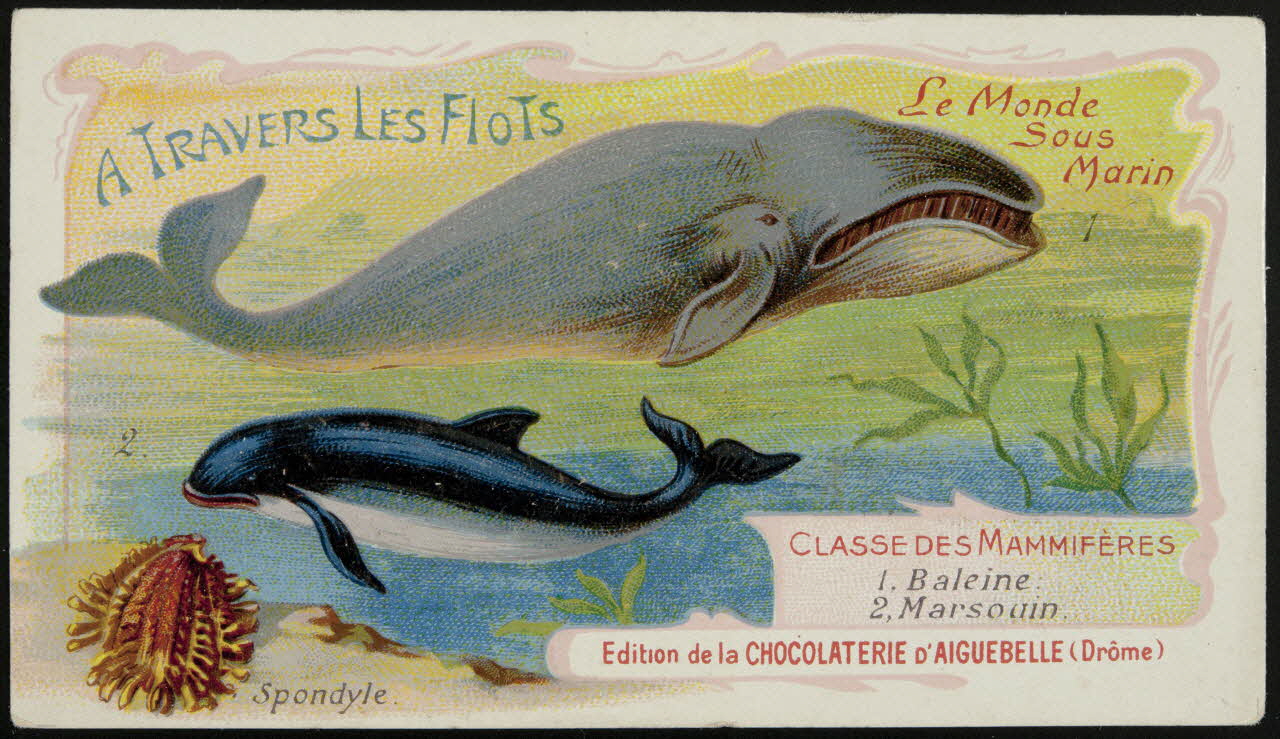 Edition de la Chocolaterie d'Aiguebelle carte réclame chromo Rhône-Alpes, France 1900-1920 1996.40.293.3 Photo