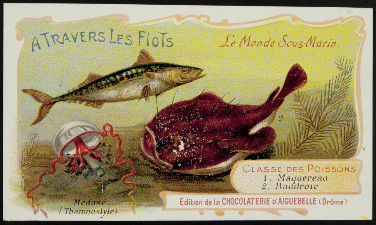 Edition de la Chocolaterie d'Aiguebelle carte réclame chromo Donzère 1900-1920 1996.40.293.31 Photo