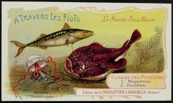 Edition de la Chocolaterie d'Aiguebelle carte réclame chromo Donzère 1900-1920 1996.40.293.31  Photo