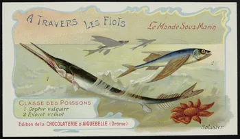 Edition de la Chocolaterie d'Aiguebelle carte réclame chromo Donzère 1900-1920 1996.40.293.33 Photo