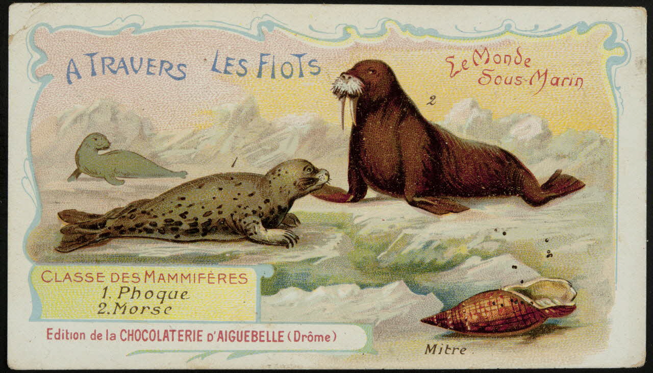 Edition de la Chocolaterie d'Aiguebelle carte réclame chromo Donzère 1900-1920 1996.40.293.35 Photo