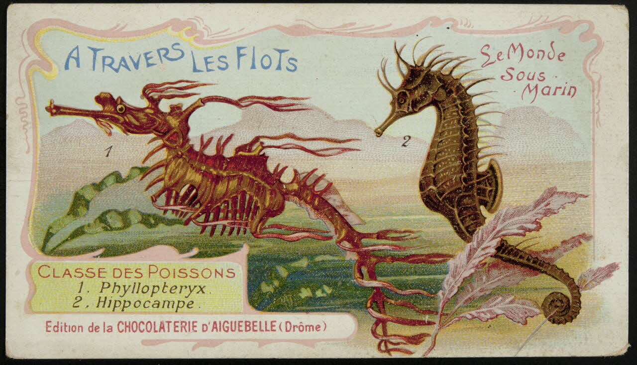 Edition de la Chocolaterie d'Aiguebelle carte réclame chromo Donzère 1900-1920 1996.40.293.36 Photo