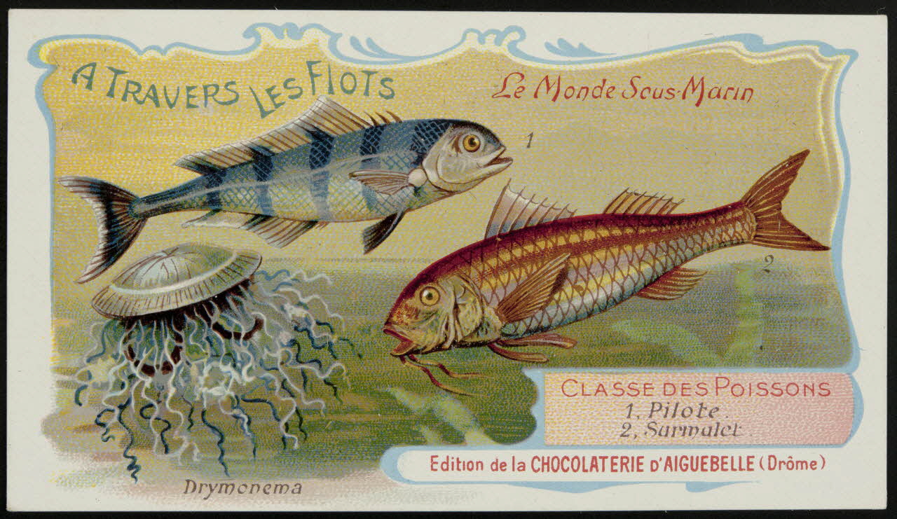 Edition de la Chocolaterie d'Aiguebelle carte réclame chromo Donzère 1900-1920 1996.40.293.37 Photo