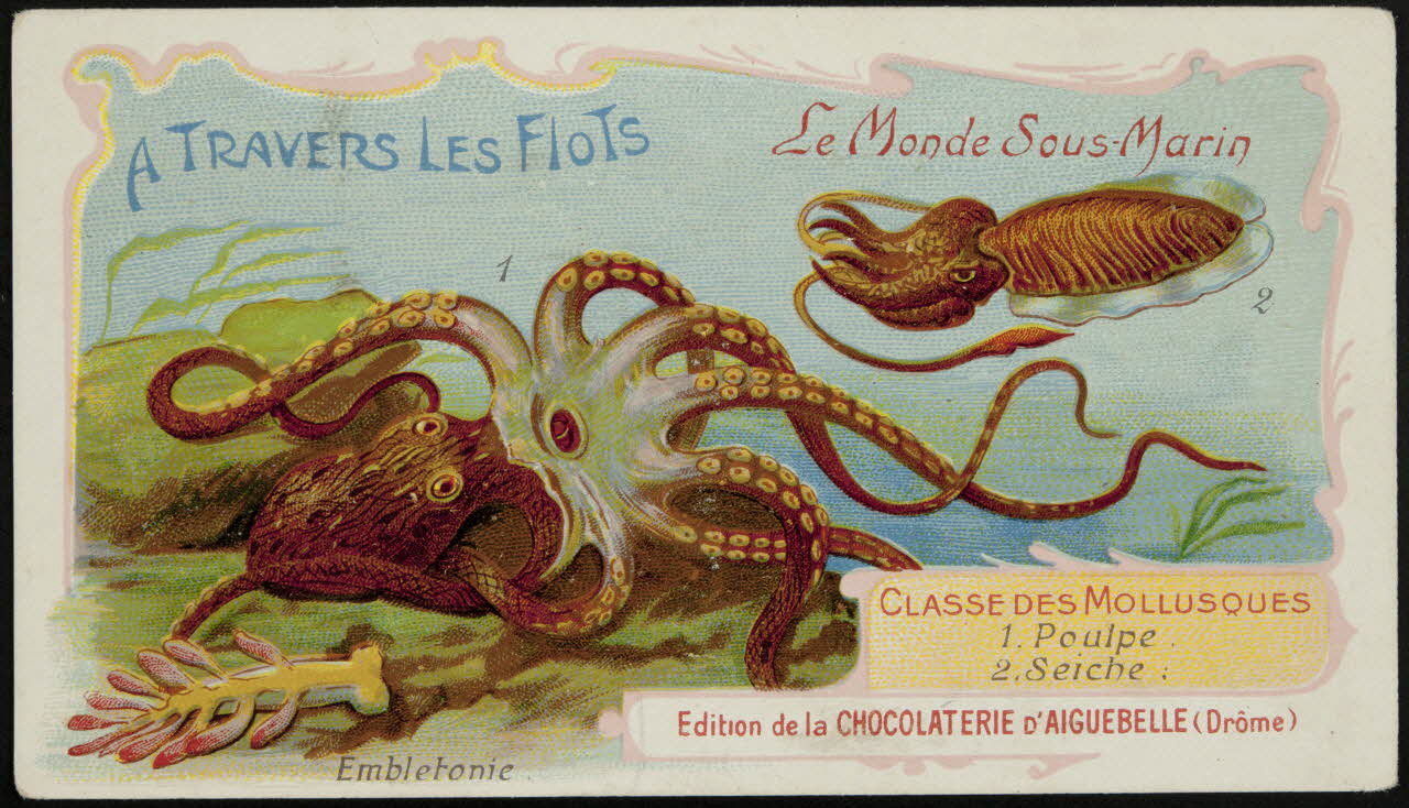 Edition de la Chocolaterie d'Aiguebelle carte réclame chromo Donzère 1900-1920 1996.40.293.38 Photo