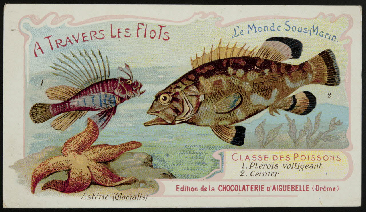Edition de la Chocolaterie d'Aiguebelle carte réclame chromo Donzère 1900-1920 1996.40.293.39 Photo