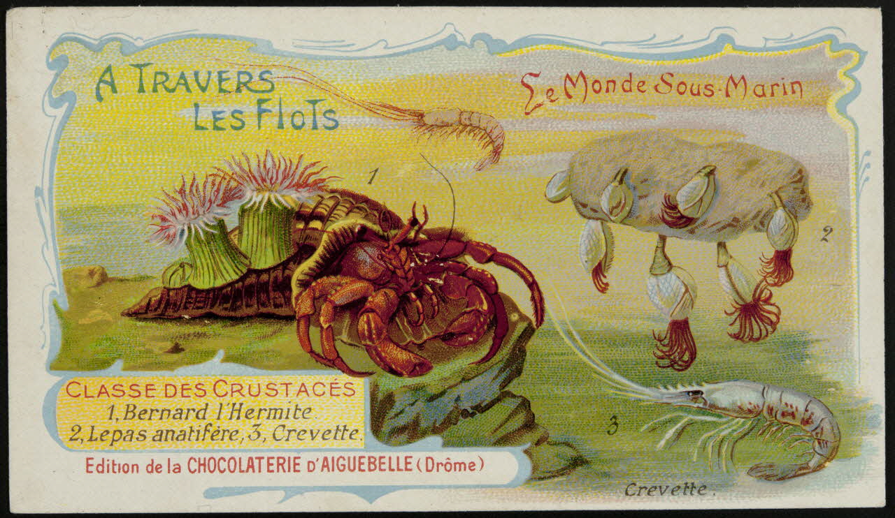 Edition de la Chocolaterie d'Aiguebelle carte réclame chromo Rhône-Alpes, France 1900-1920 1996.40.293.4 Photo