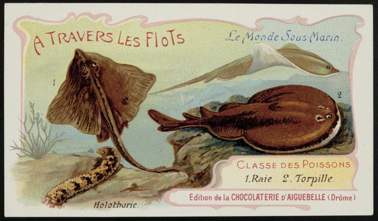 Edition de la Chocolaterie d'Aiguebelle carte réclame chromo Donzère 1900-1920 1996.40.293.40 Photo