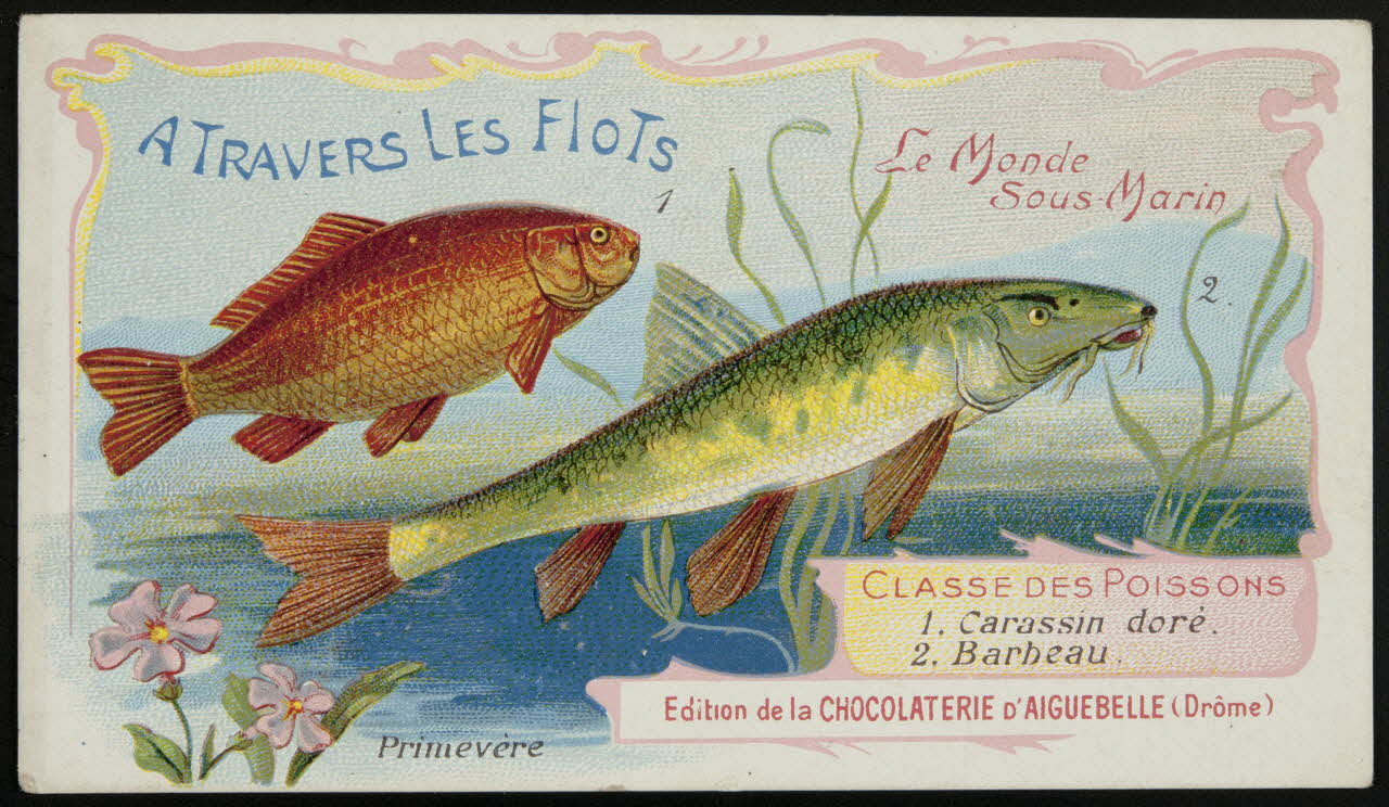Edition de la Chocolaterie d'Aiguebelle carte réclame chromo Rhône-Alpes, France 1900-1920 1996.40.293.7 Photo