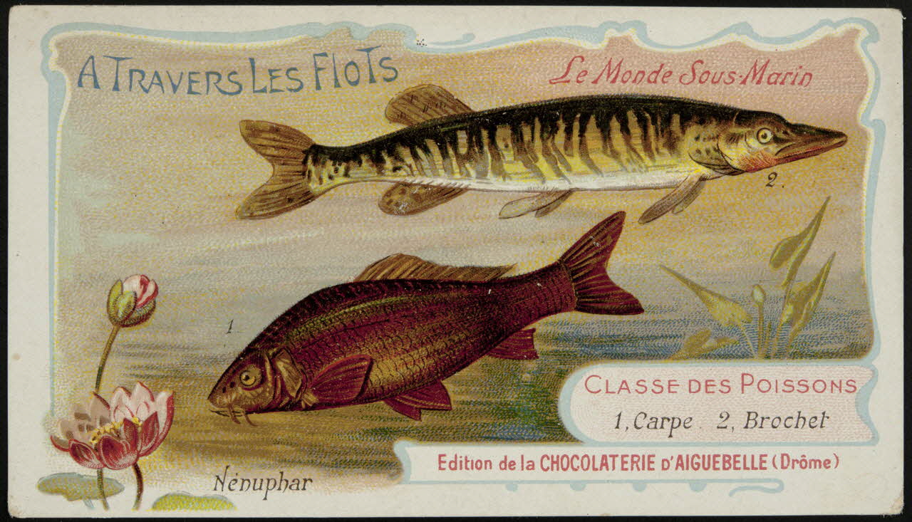 Edition de la Chocolaterie d'Aiguebelle carte réclame chromo Rhône-Alpes, France 1900-1920 1996.40.293.8 Photo