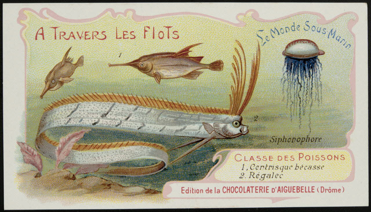 Edition de la Chocolaterie d'Aiguebelle carte réclame chromo Rhône-Alpes, France 1900-1920 1996.40.293.9 Photo