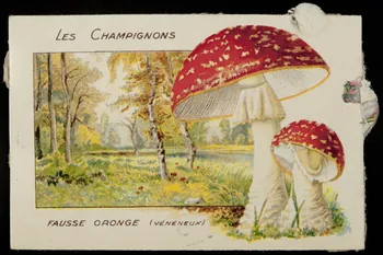 carte réclame chromo 1996.40.298.5 Photo