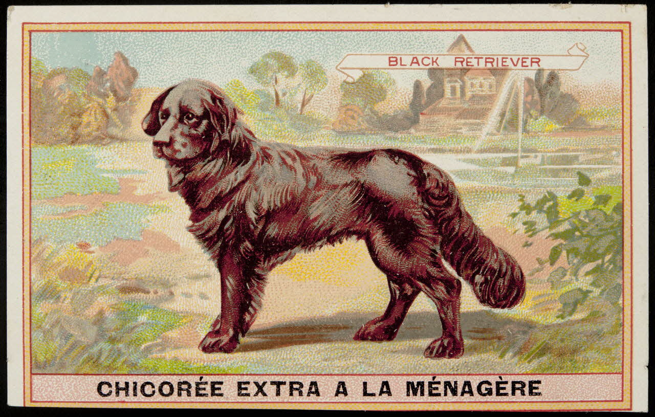 carte réclame chromo 1996.40.349.1 Photo