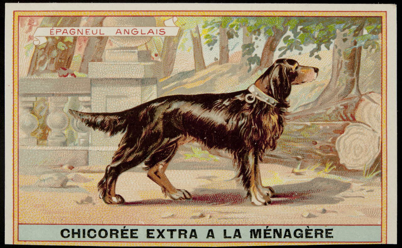 carte réclame chromo 1996.40.349.11 Photo