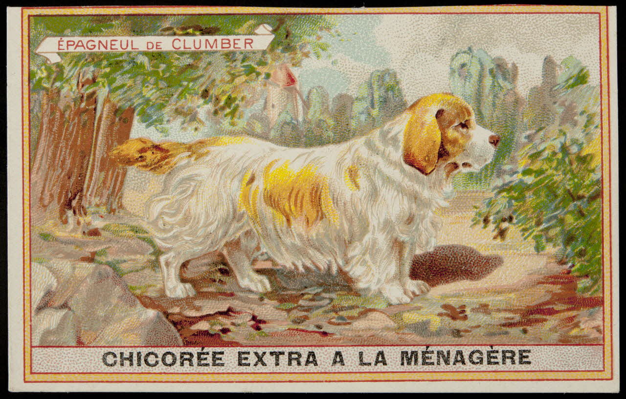 carte réclame chromo 1996.40.349.12 Photo