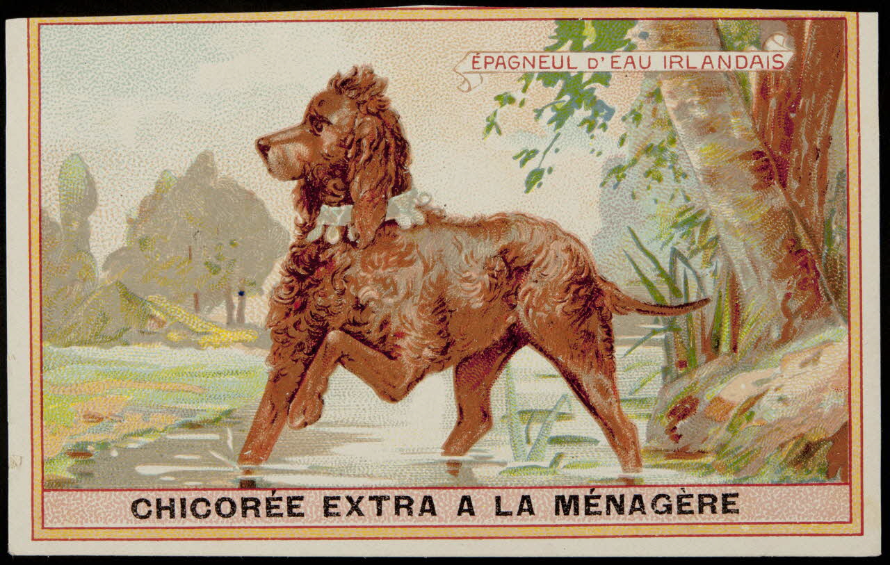 carte réclame chromo 1996.40.349.13 Photo