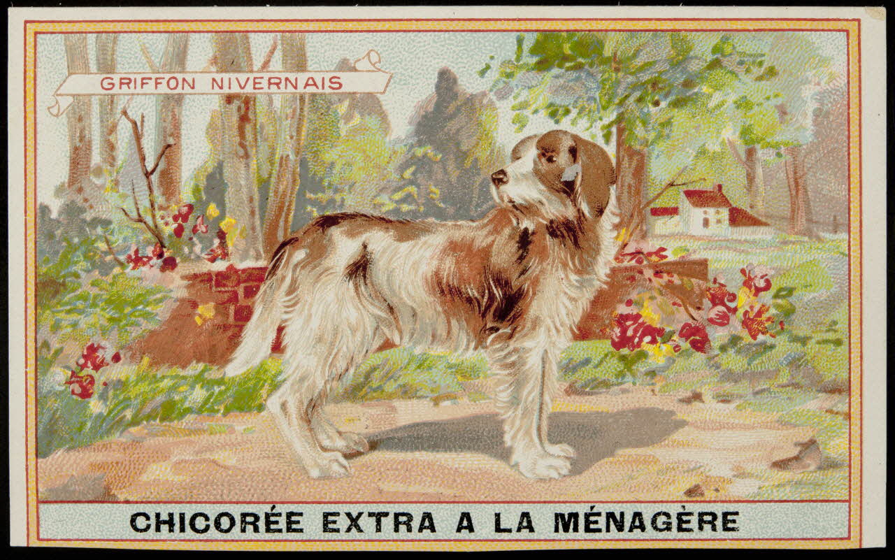 carte réclame chromo 1996.40.349.14 Photo