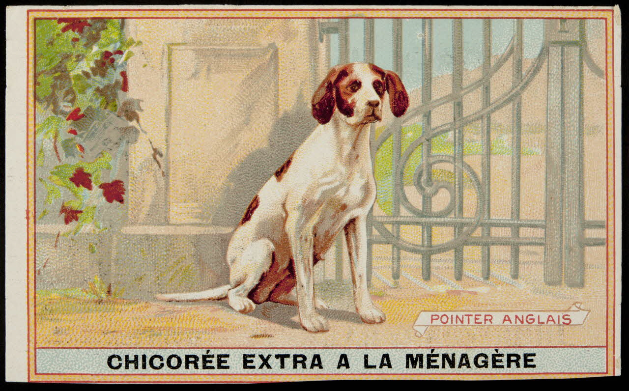 carte réclame chromo 1996.40.349.15 Photo