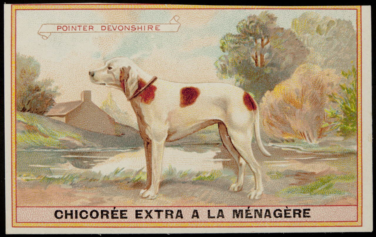 carte réclame chromo 1996.40.349.16 Photo