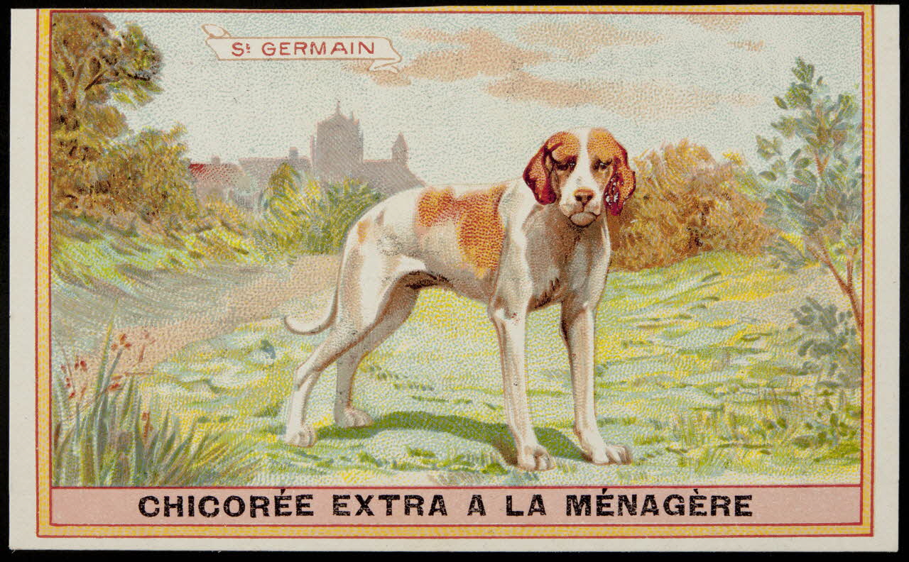 carte réclame chromo 1996.40.349.17 Photo