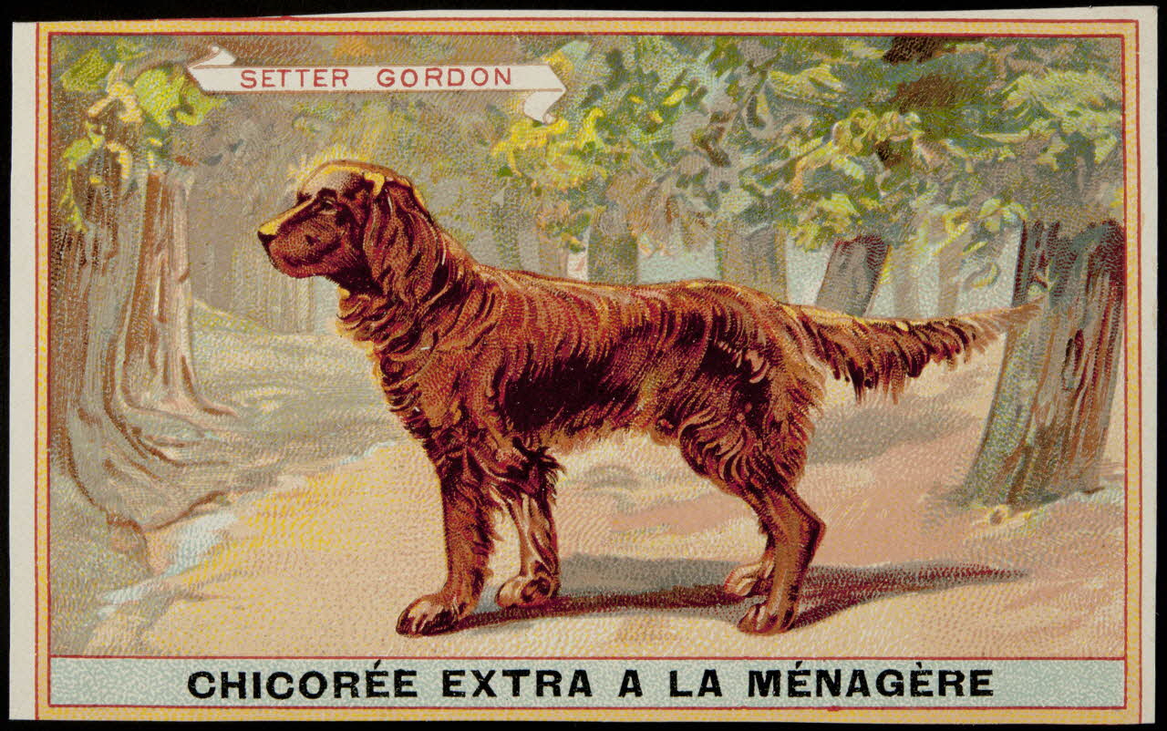 carte réclame chromo 1996.40.349.18 Photo