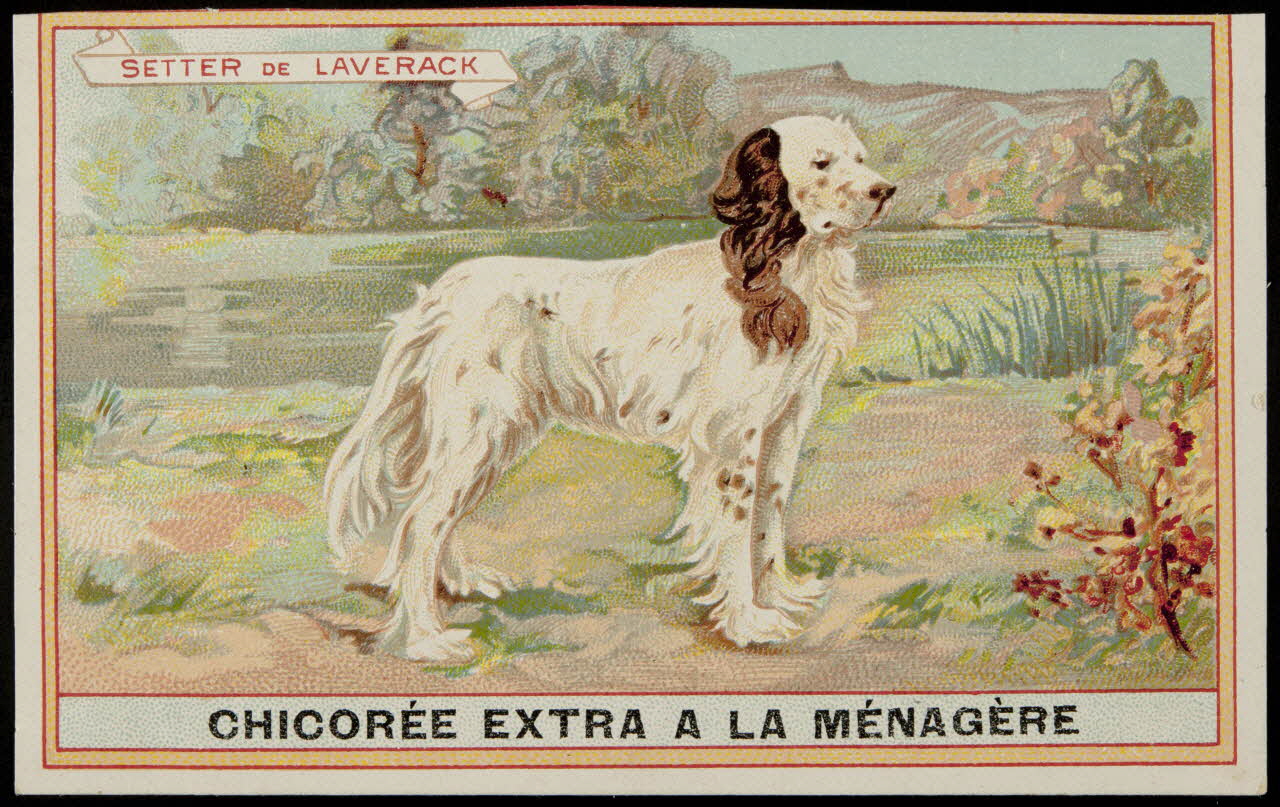 carte réclame chromo 1996.40.349.19 Photo