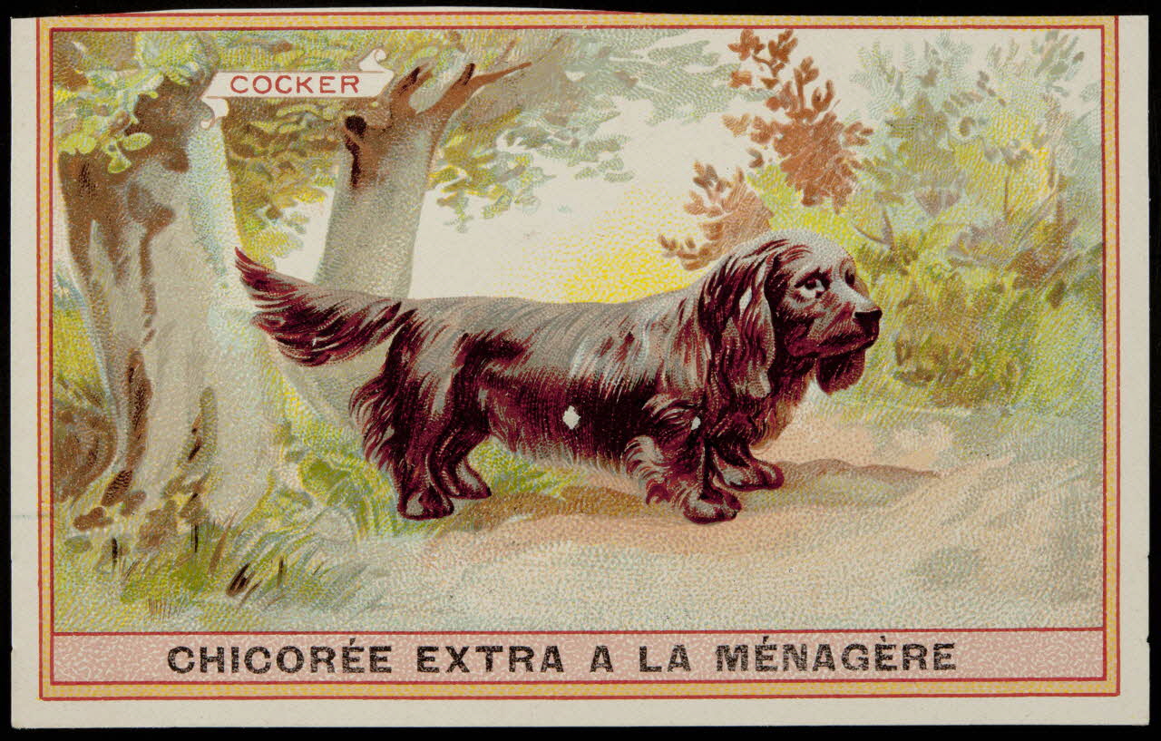 carte réclame chromo 1996.40.349.6 Photo
