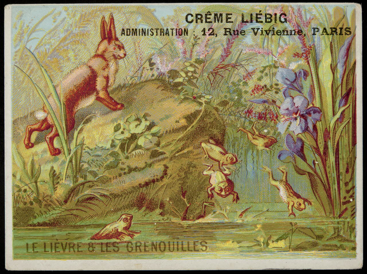 carte réclame chromo 1996.40.351.1 Photo