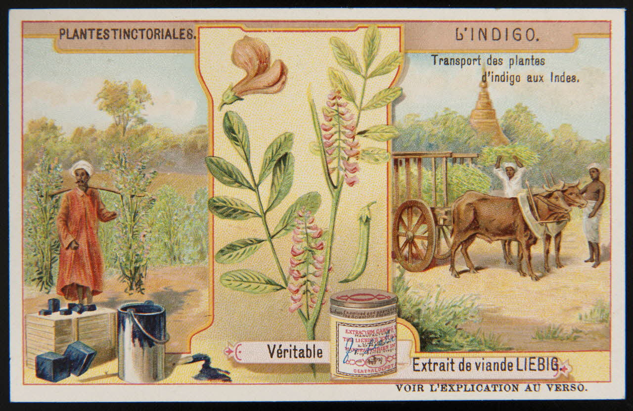 carte réclame chromo 1996.40.356.2 Photo