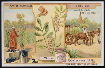 carte réclame chromo 1996.40.356.2 Photo