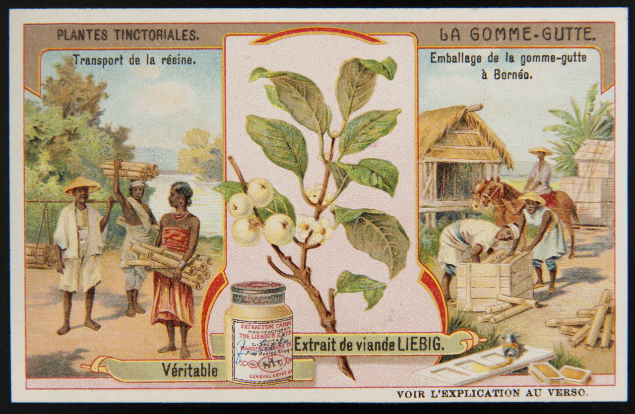 carte réclame chromo 1996.40.356.3 Photo