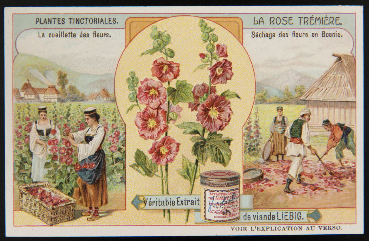 carte réclame chromo 1996.40.356.4 Photo