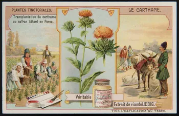 carte réclame chromo 1996.40.356.6 Photo
