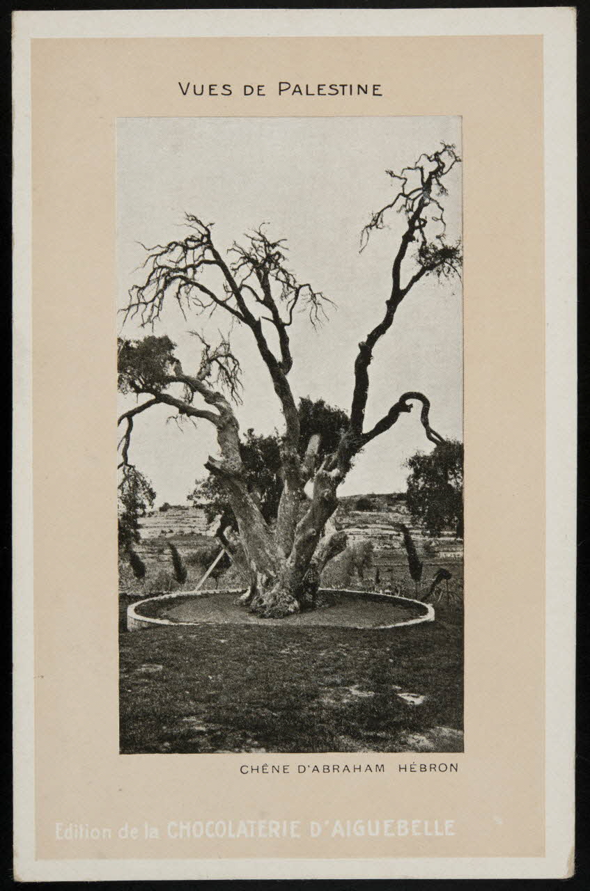 Edition de la Chocolaterie d'Aiguebelle carte réclame chromo Rhône-Alpes, France 1900-1919 1996.40.379.3 Photo