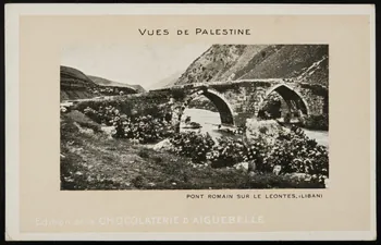 Edition de la Chocolaterie d'Aiguebelle carte réclame chromo Rhône-Alpes, France 1900-1919 1996.40.379.8 Photo
