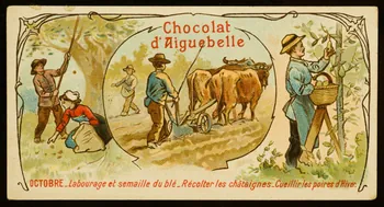 Edition de la Chocolaterie d'Aiguebelle carte réclame chromo 1883-1900 1996.40.389.10 Photo