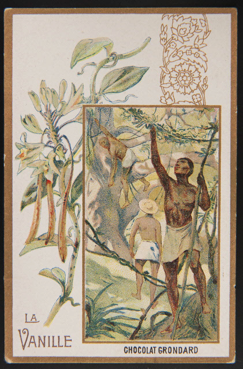 carte réclame chromo 1996.40.502.11 Photo