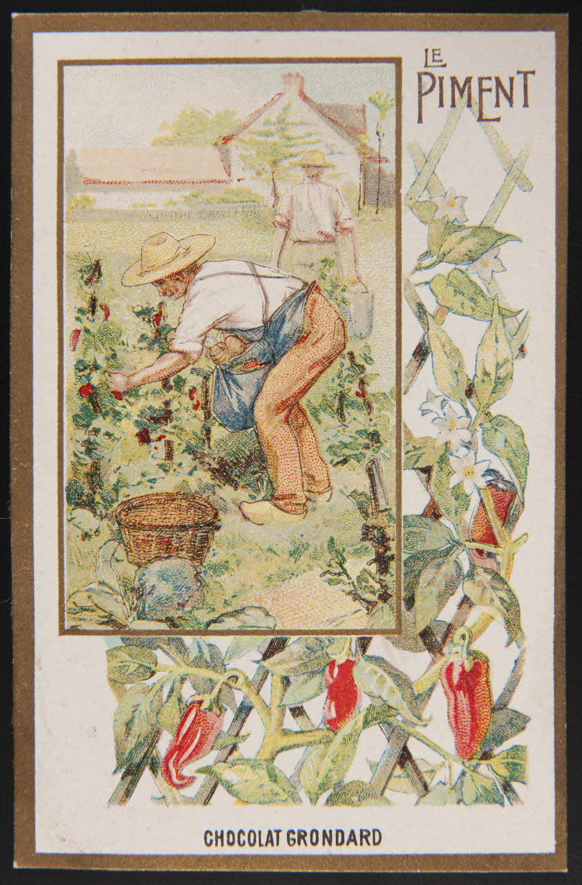 carte réclame chromo 1996.40.502.8 Photo